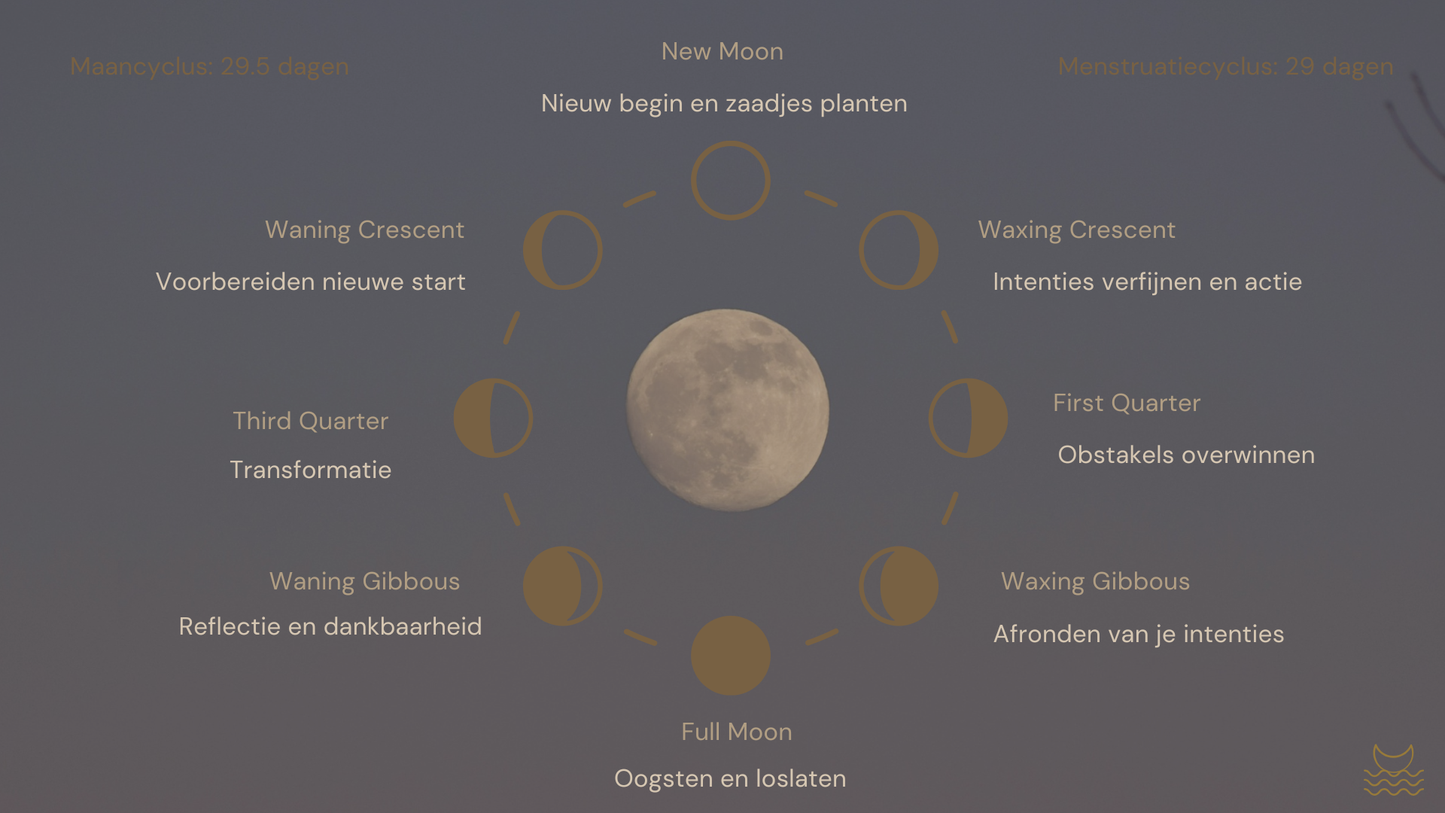 Moon Woman - Zelfstudietraject in cyclusbewustzijn
