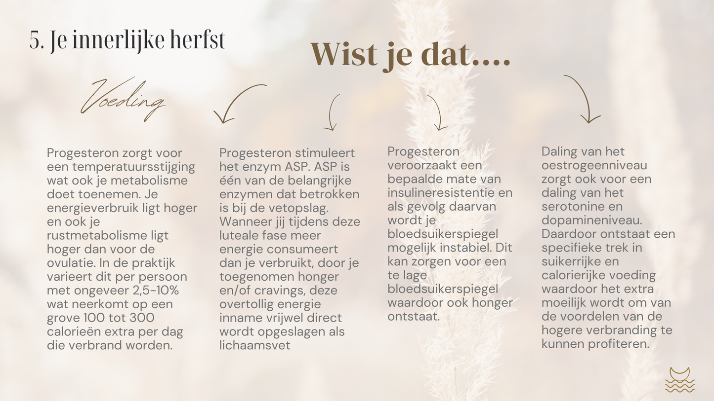 Moon Woman - Zelfstudietraject in cyclusbewustzijn